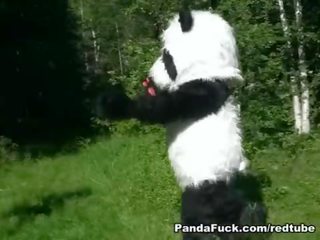 Rouge chevauchée capot baisée par panda