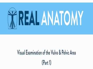 बस्टी ब्रुनेट दिखाता है the anatomy की उसकी योनी